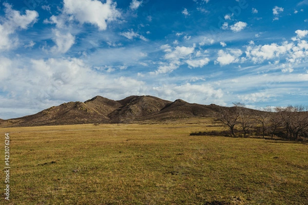 Obraz mongolian countryside
