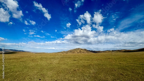 Obraz mongolian countryside