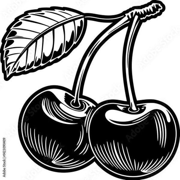 Obraz Minimalist Two Cherries Line Art – Simple Black and White Fruit Illustration SVG