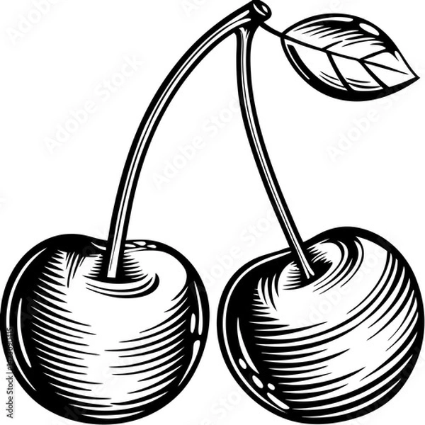 Obraz Minimalist Two Cherries Line Art – Simple Black and White Fruit Illustration SVG
