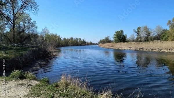 Obraz Calm river flowing through lush greenery on sunny day with clear blue sky above