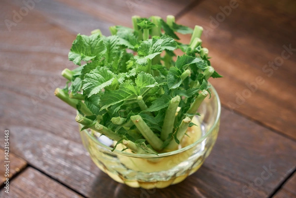 Fototapeta 水に浸けて育てる大根の葉