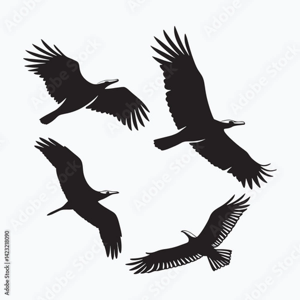 Obraz Birds vector art silhouettes.