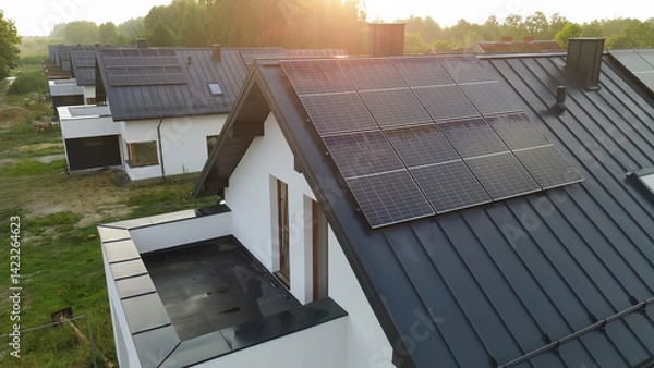 Fototapeta Rows of modern homes in a suburban neighborhood embrace green living with solar panels