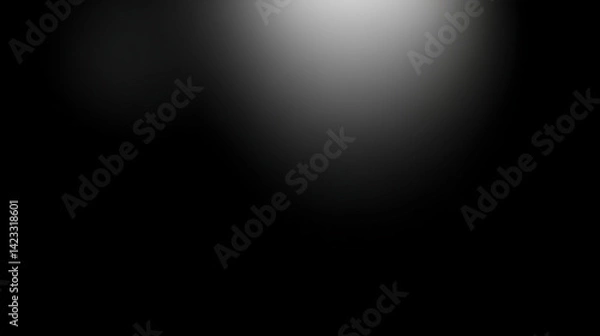 Obraz Subtle light and shadow interplay in a monochrome setting, evoking a sense of elegance and depth