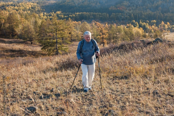 Obraz Attractive gray haired senior man hiking in forest using poles for nordic walking