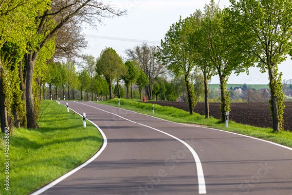 Fototapeta Eine Bundesstraße mit einer Allee an Bäumen im Frühling