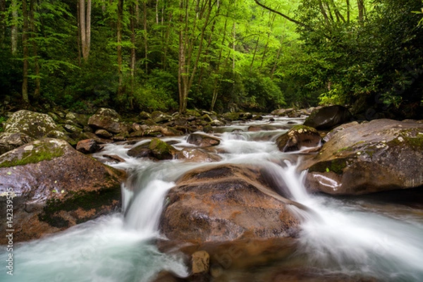Obraz Big Creek Spring