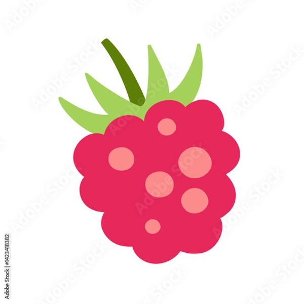 Fototapeta Raspberry berry hand drawn vector illustration
