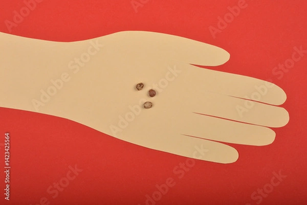 Fototapeta A cutout of a light beige paper hand displays Garden Nasturtium (Tropaeolum majus) seeds illustrating their size, against a red background