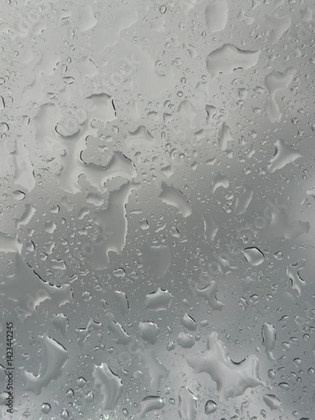 Fototapeta Rain falling through the glass, The sight of rain from the sky, Rain falling through clear glass.
