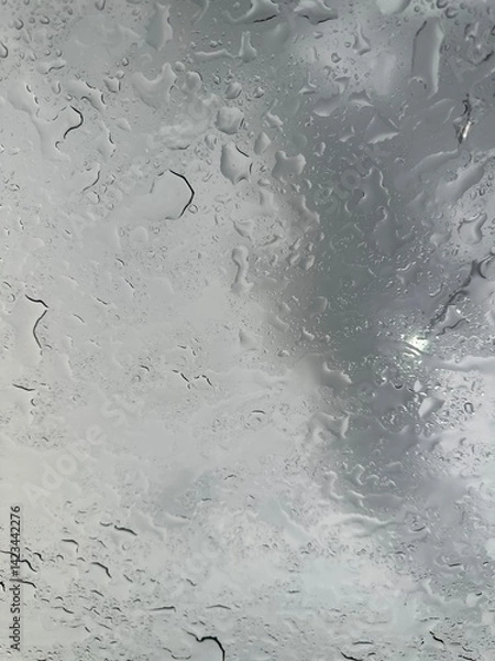 Fototapeta Rain falling through the glass, The sight of rain from the sky, Rain falling through clear glass.