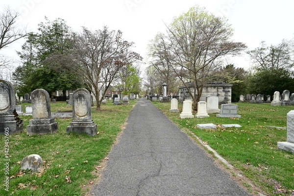 Fototapeta A graveyard in Lexington, Virginia. 