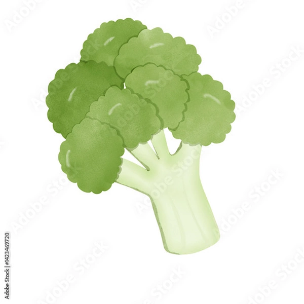 Obraz broccoli, vegetable