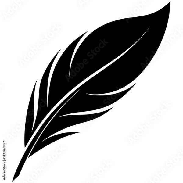 Obraz feather on white background