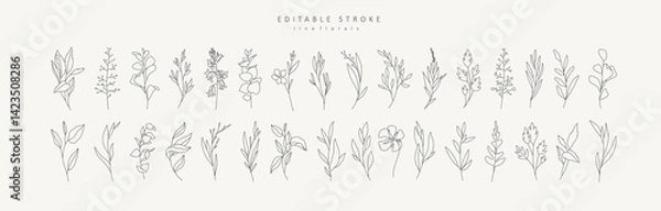 Obraz Set of different flowers and brunch from flat editable stroke. Luxury line floral collection for wedding invitation art, design template of save the date card. Botanical vector illustration