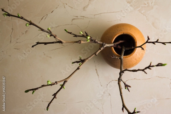 Fototapeta Flowering branches in a clay pot. Spring time.