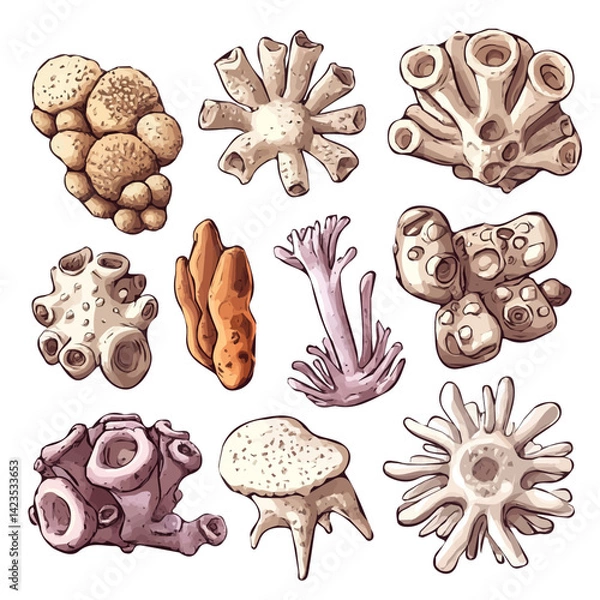 Obraz A Very Simple flat 2D icon of a Collection of barnacle isolated on a transparent background, vector, flat design, animation design, vector, simple flat 2D icon, minimalist, eps