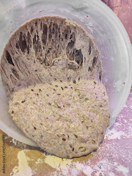 Fototapeta sourdough dough being pulled from a plastic bowl, forming threads and showcasing its gluten structure