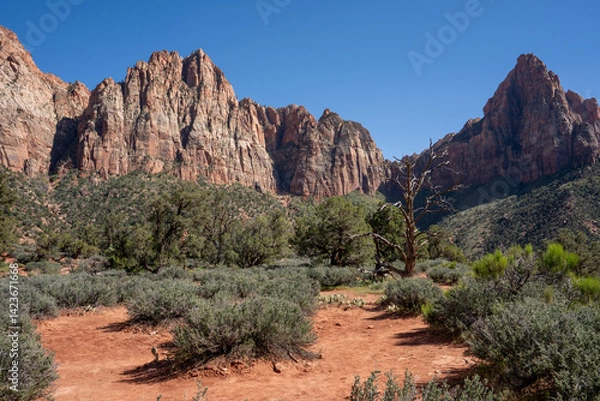 Obraz View of red rocks in Red Cliff National Conservation Area, Utah, USA.	