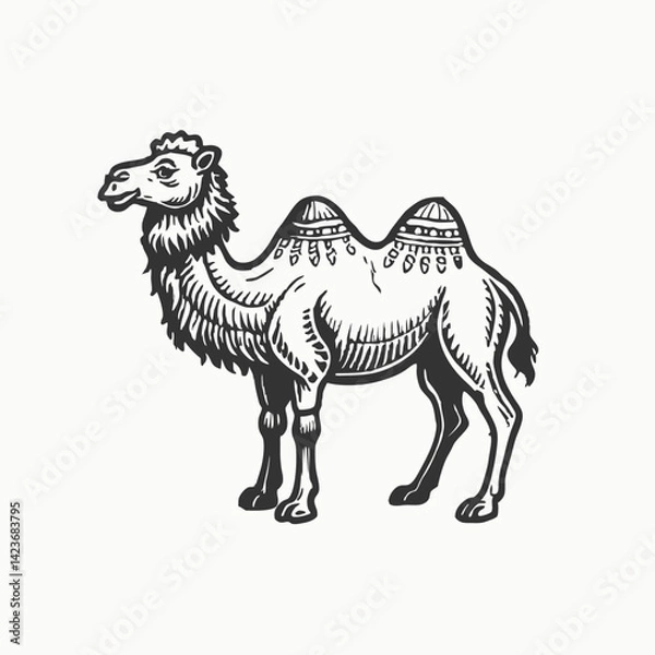 Obraz Camel. Hand drawn vector illustration. Can be used separately from your design. Cute Bactrian camel on a white background.