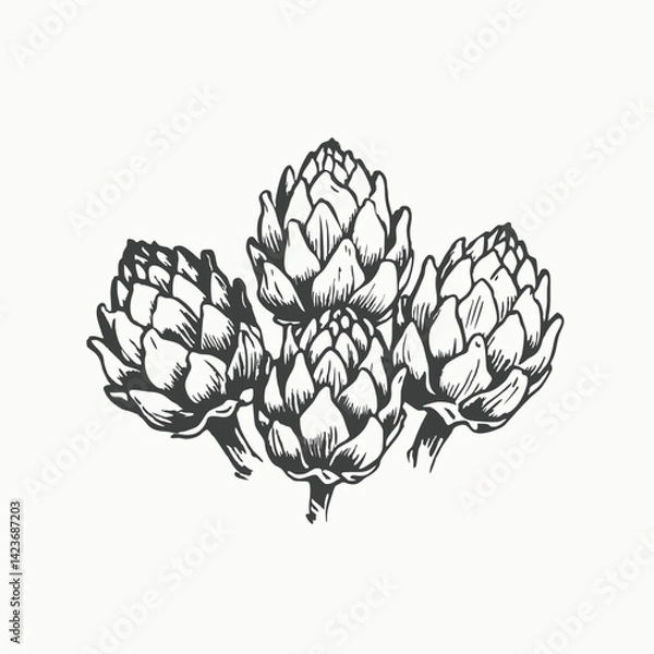 Obraz Detailed purple artichoke Hand drawn outline vector sketch illustration on white background