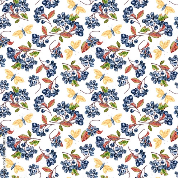 Obraz Black chokeberry berries and foliage in seamless watercolor pattern isolated. Aronia plants and butterflies hand drawn on repeat background for fabric, stationery, wallpaper, and rustic packaging.