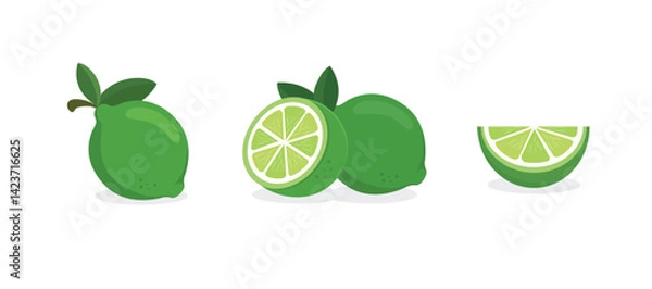 Fototapeta Set of Lime vector. Set of green fresh lime icon. Lime fruits on white isolated. Lime slices collection isolated on white background.