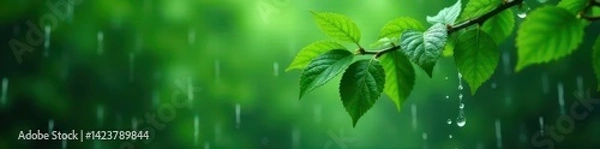 Obraz Heavy rain lashes lush green branch, water cascading down leaves , leaf, freshness