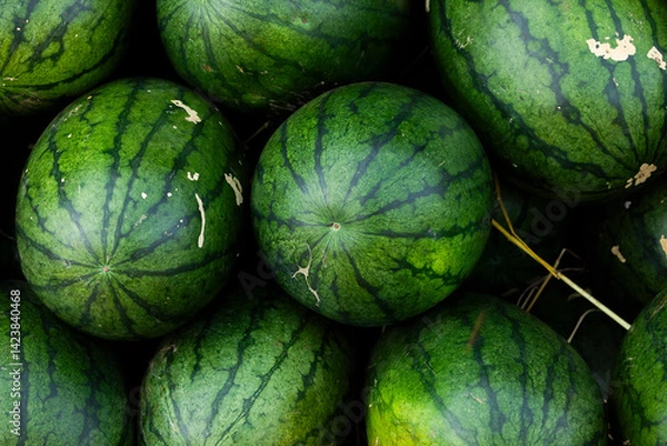 Obraz Green and sweet watermelons, freshly picked, piled up in a market in Pakse, Laos