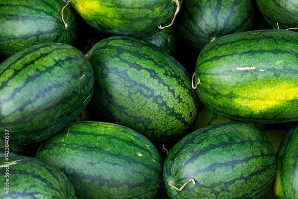 Obraz Green and sweet watermelons, freshly picked, piled up in a market in Pakse, Laos