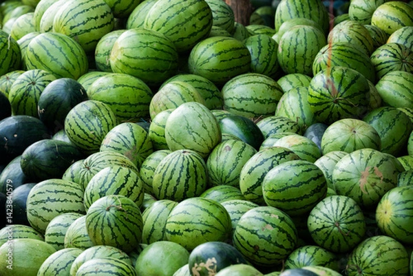 Obraz Green and sweet watermelons, freshly picked, piled up in a market in Pakse, Laos