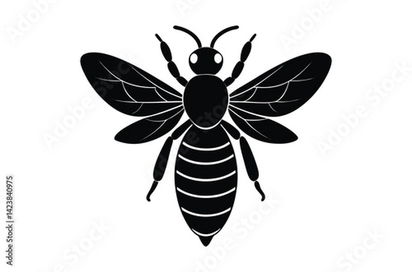 Fototapeta Silhouette of Ant, Set of Atn's cartoon  of different shapes,  Ant vector illustration, Collection of Hand Drawn Ant icons on white background.