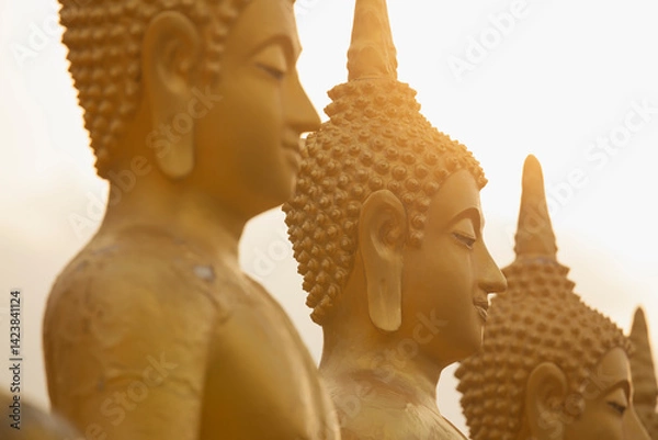 Obraz Golden Buddha statues, seated in different meditation positions, at the Wat Phousalao temple, near Pakse, Champasak, Laos