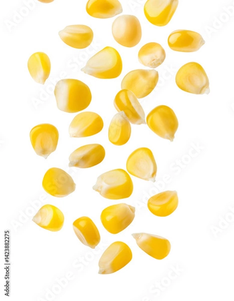 Fototapeta Ripe corn kernels falling against a transparent background, with included clipping path for easy isolation