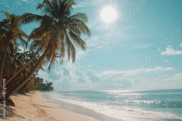 Fototapeta Beautiful tropical beach with palm trees and blue sky with the sun shining on the sea.