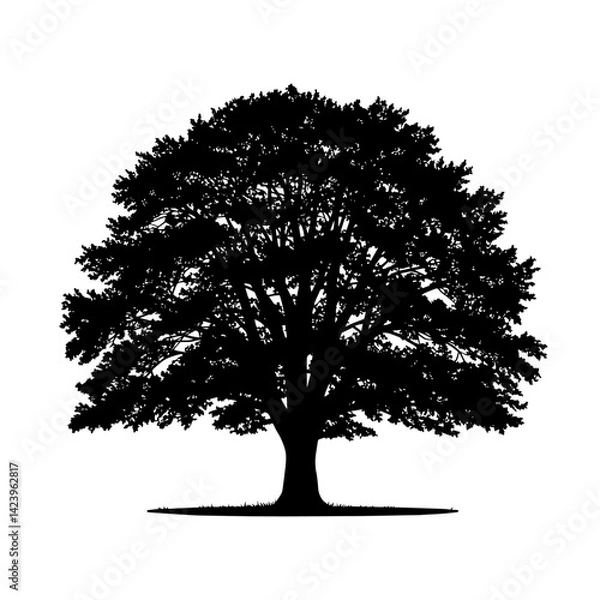 Obraz Black oak tree silhouette vector, realistic wide canopy, dense foliage, perfect for design projects.