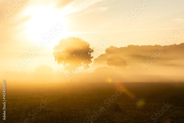 Obraz Beautiful orange sunrise over a meadow with sun rays shining through the morning fog