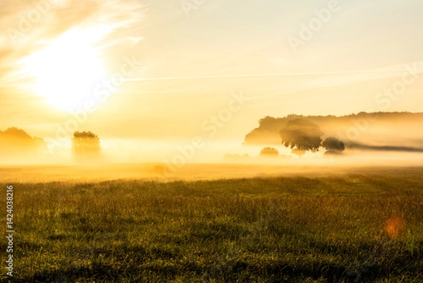 Obraz Beautiful sunrise over a meadow with sun rays shining through the morning fog