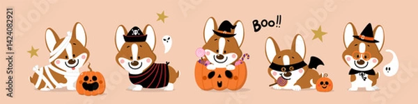 Fototapeta Happy halloween invitation card with cute corgi puppy and dog in party costumes. Animals holidays cartoon character. -Vector 