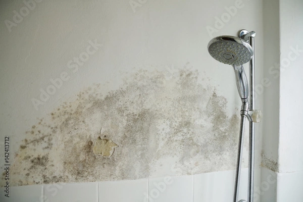 Fototapeta Pleśń w łazience