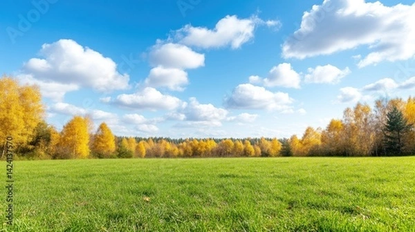 Fototapeta Autumnal landscape with vibrant yellow trees and a bright blue sky.  A vast expanse of green grass stretches to the horizon, framed by a line of golden-hued trees.