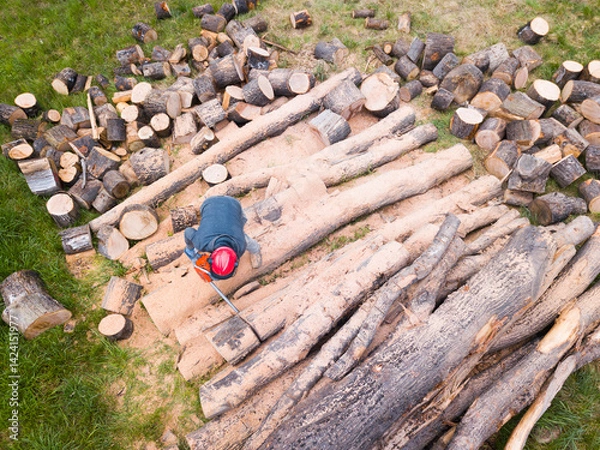 Fototapeta Lumberjack with a chainsaw cutting trees in the forest. Preparing firewood for winter. Top down view. Aerial view from drone
