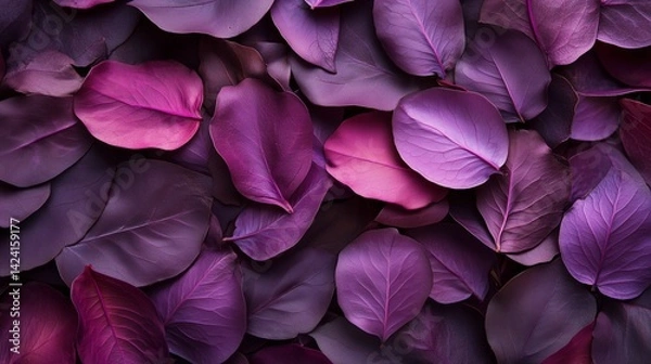 Fototapeta A dense background of petals and leaves of saturated purple and purple shades. Soft light emphasizes the texture of the surface of each sheet, creating the effect of depth and velvety.