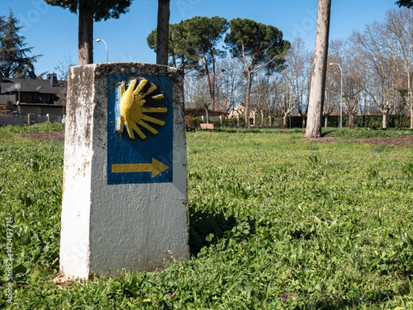Obraz Stone monolith, quite deteriorated, located in a green grass park indicating the direction to follow for pilgrims of the Camino de Santiago on their long journey to reach Santiago de Compostela