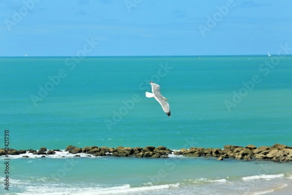 Obraz Flight Over Green Waters