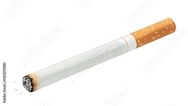 Obraz Cigarette on White Background