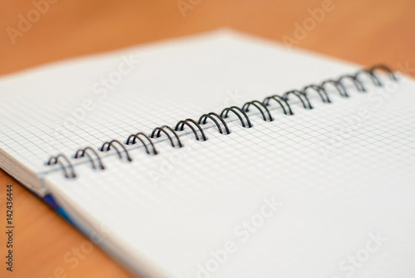 Fototapeta The spring in the open notebook
