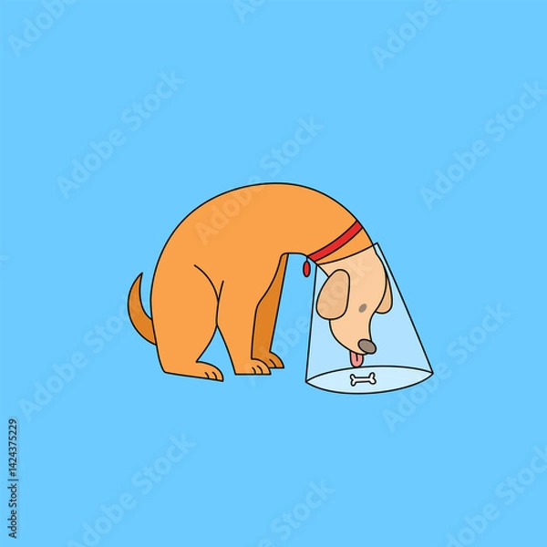 Obraz Vector illustration of a sad dog wearing a medical cone collar, looking at a bone. for veterinary clinic advertisements, pet recovery materials, or animal welfare campaigns.