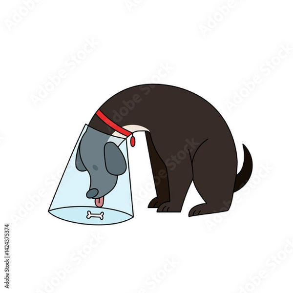 Obraz Vector illustration of a sad dog wearing a medical cone collar, looking at a bone. for veterinary clinic advertisements, pet recovery materials, or animal welfare campaigns.